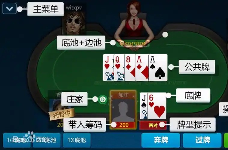 德扑术语教学全集 德扑游戏